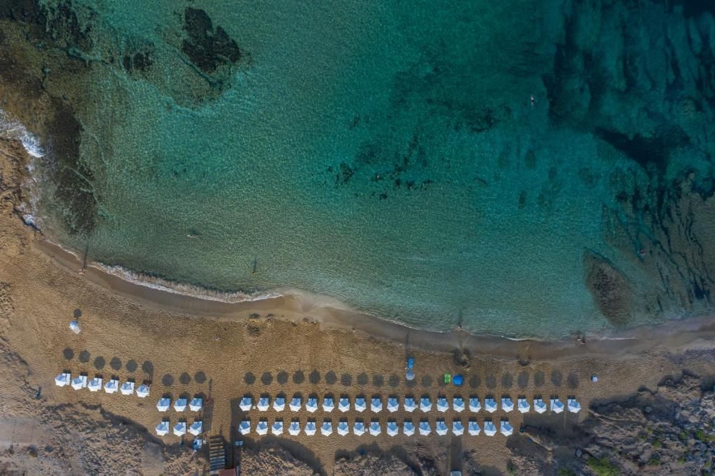 Venus Beach Hotel фото 9