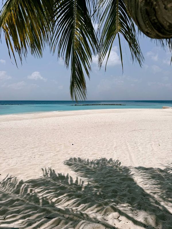 ERI Maldives фото 43