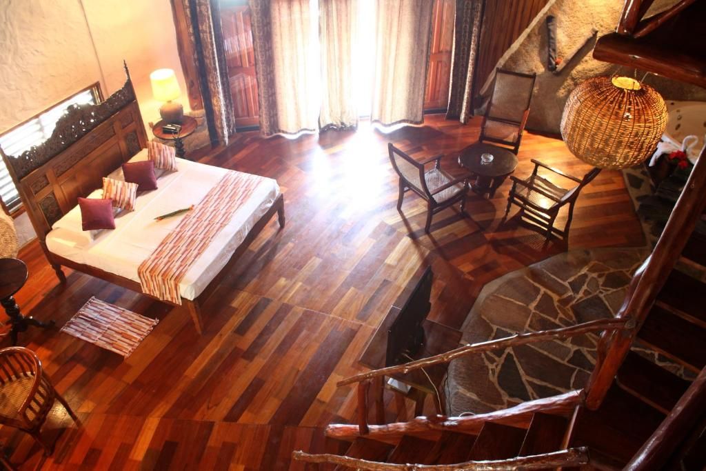 Chauve Souris Relais фото 13
