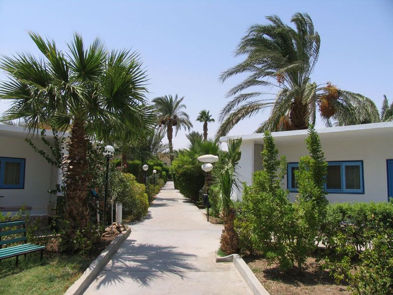 El Samaka Beach Hotel фото 0