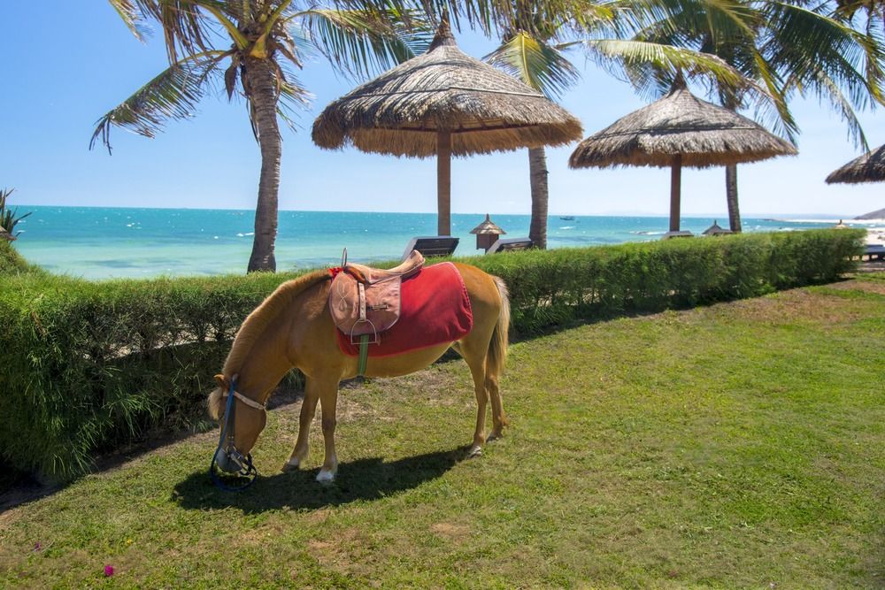 Victoria Phan Thiet Beach Resort & Spa фото 57