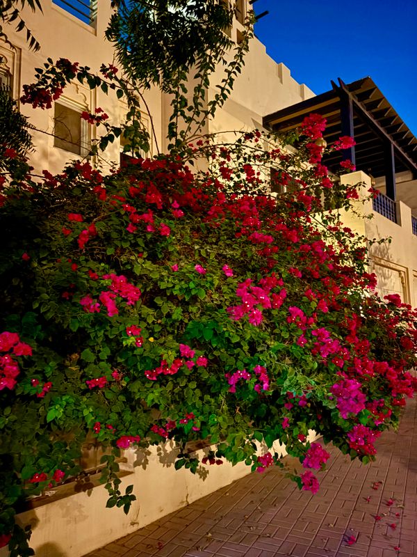 Al Hamra Residence фото 51