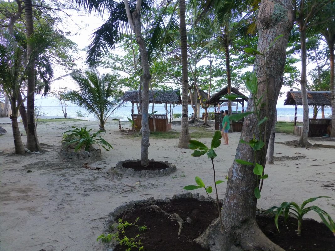 Talima Beach Villas & Dive Resort фото 7