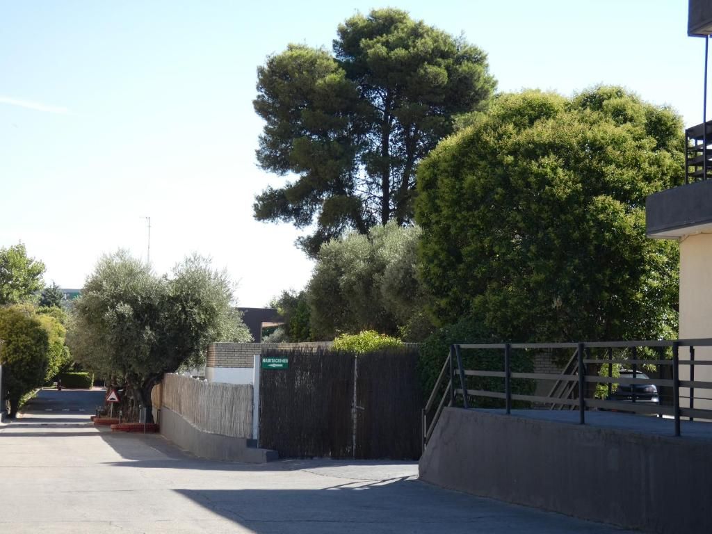 Los Olivos фото 6