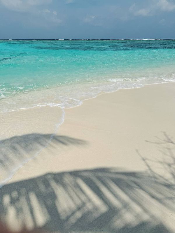 Guest House ««Plumeria Maldives» Guest House» фото 38