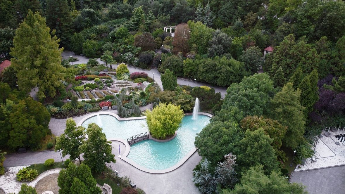 Odysseya Wellness Resort фото 2