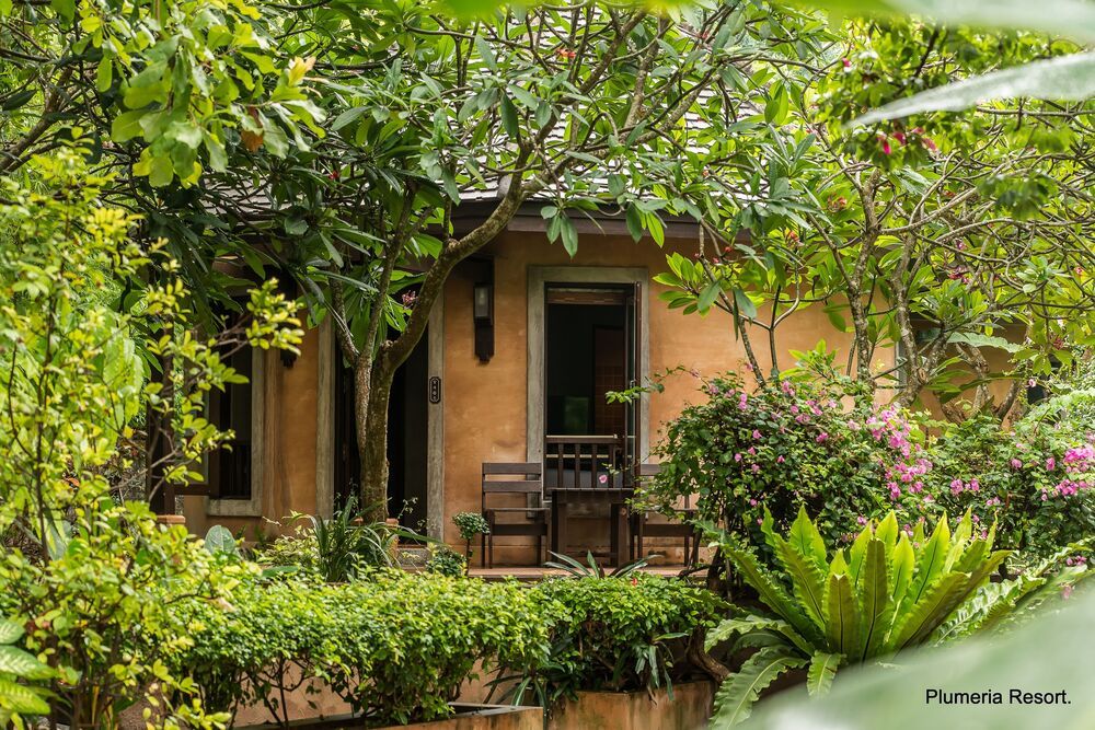 Plumeria Resort фото 65