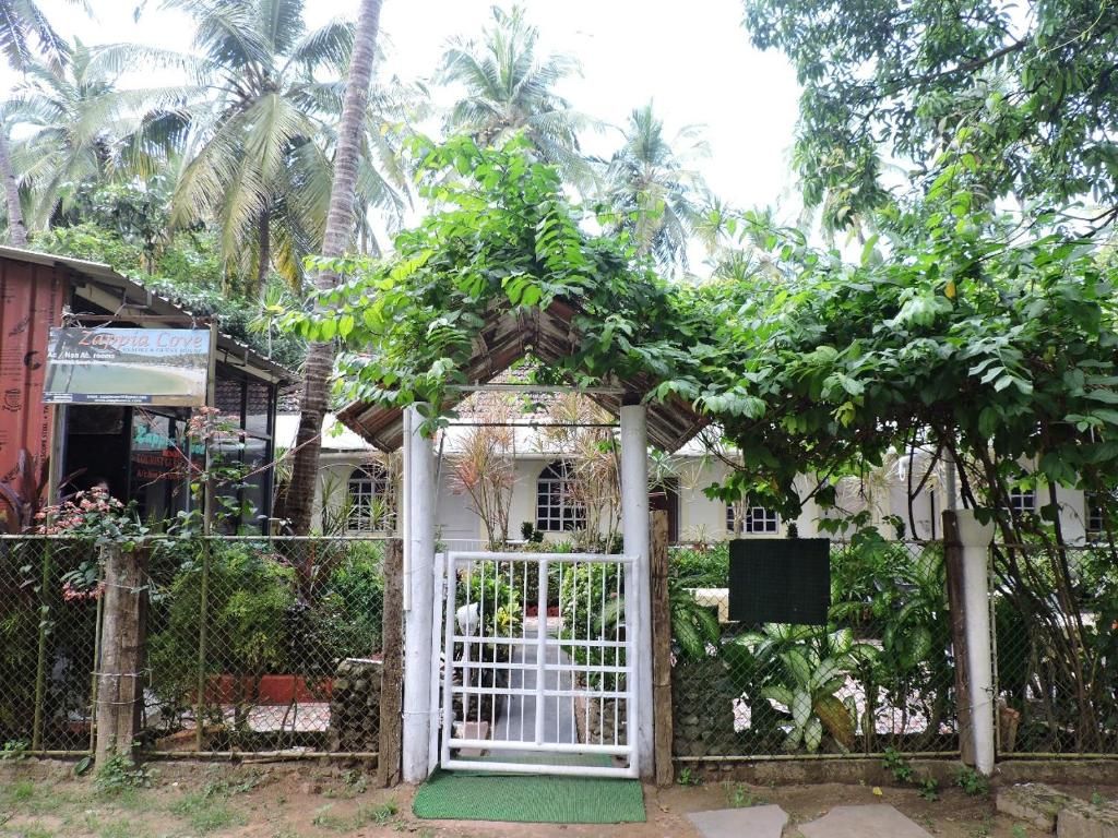 Guest House «Zappia Cove Guesthouse» фото 32