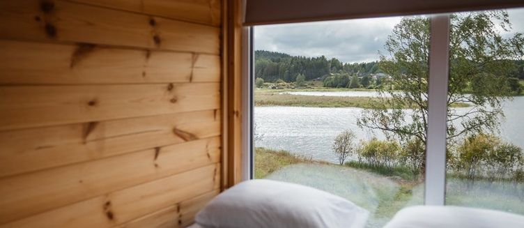 Фото отеля Ягодная Деревня