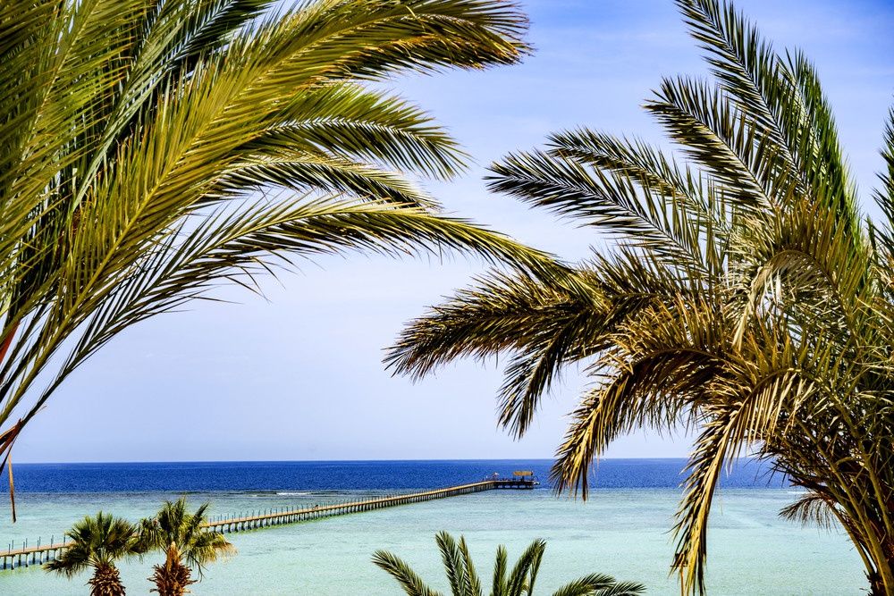 Blue Reef Red Sea Resort фото 43