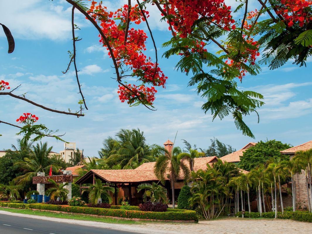 Sandhills Beach Resort & Spa фото 4