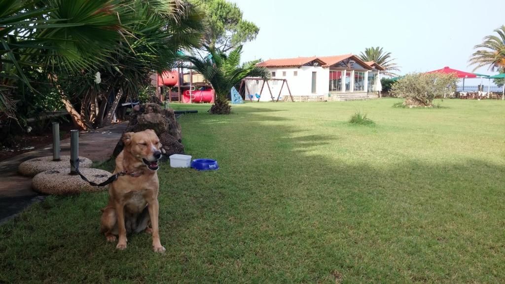 Irida Beach Resort Suites фото 15