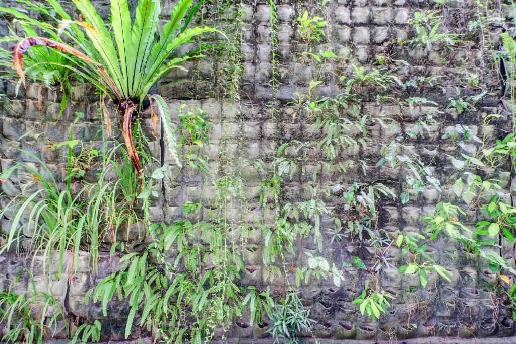Akarsa Kokoro фото 18