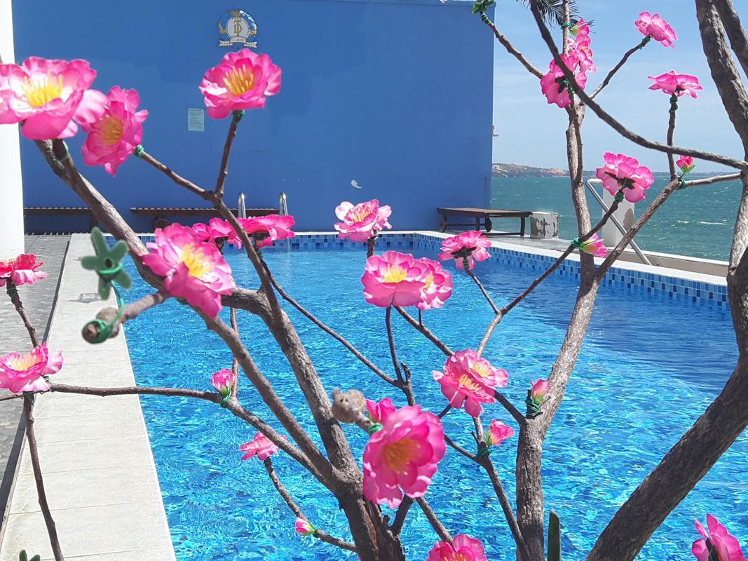 Ocean Front Hotel фото 29