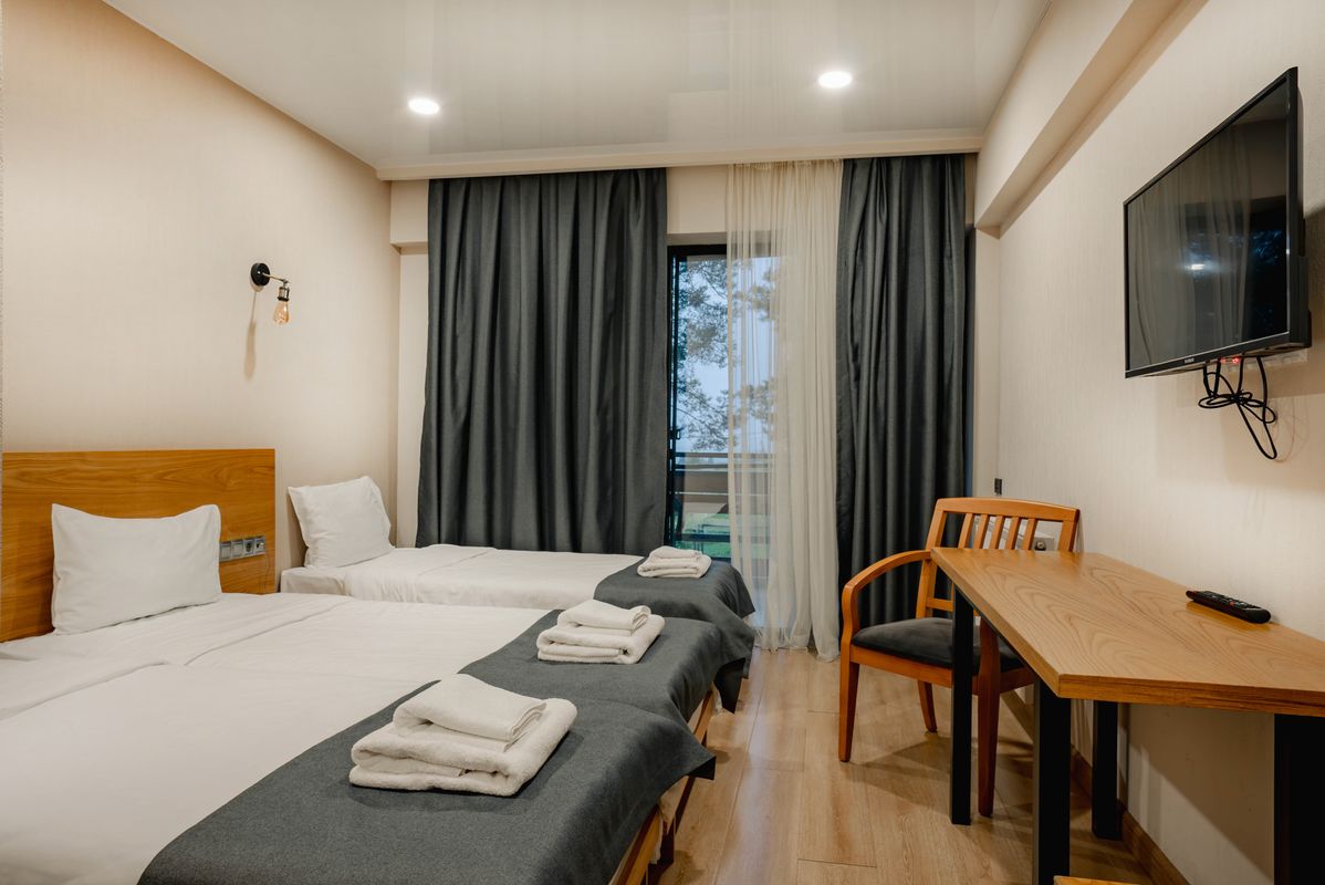Bakuriani Inn фото 75