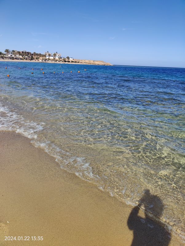 Coral Sun Beach фото 44