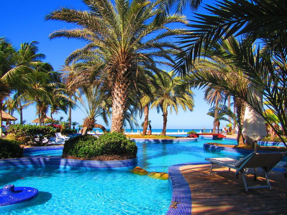 Paradise Coche фото 8