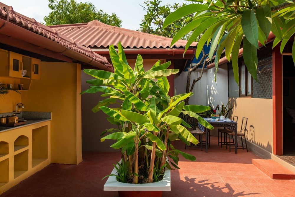 Casa Baga фото 67