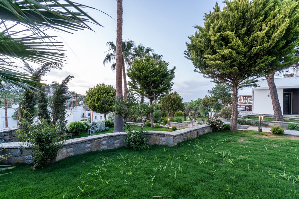 Elementa Luxury Boutique Hotel (Adults Only) фото 36
