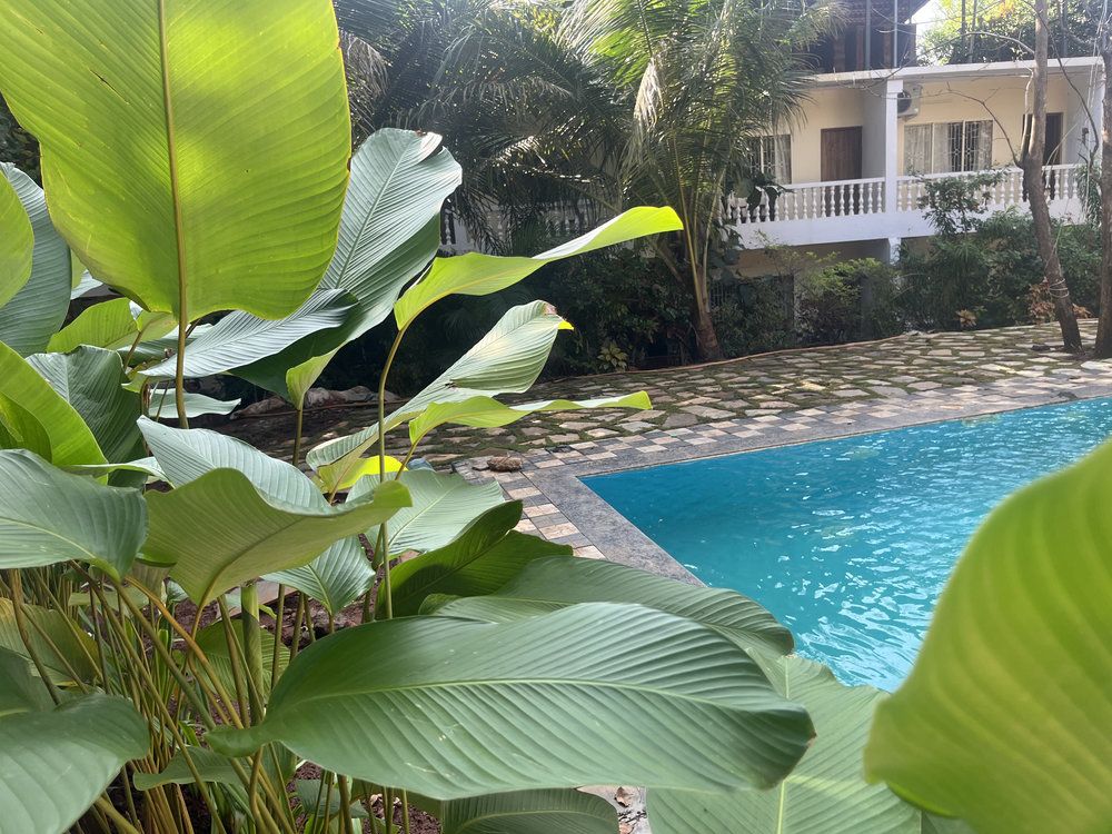 Guest House «Miloza Holiday Homes» фото 17