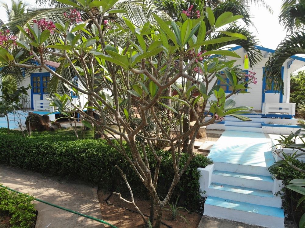Paradise Village Beach Resort фото 55