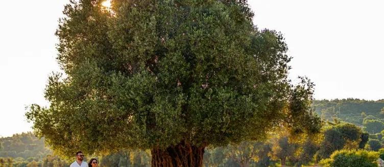 Фото отеля Club Resort Atlantis