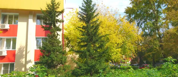 Фото отеля Русь