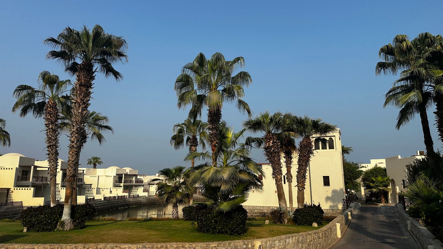 The Cove Rotana Resort фото 81