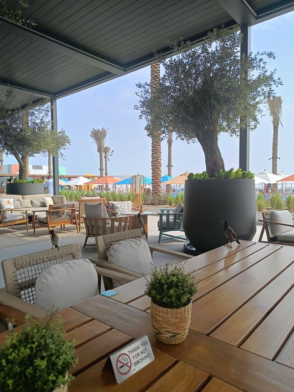 Rove Al Marjan Island фото 95