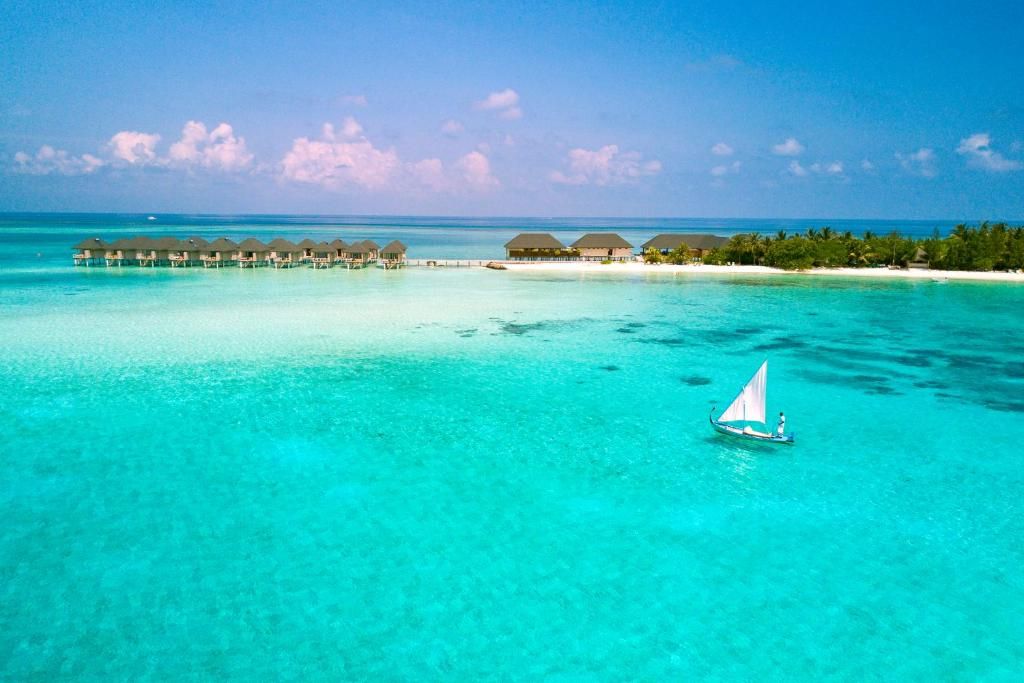 Summer Island Maldives фото 182