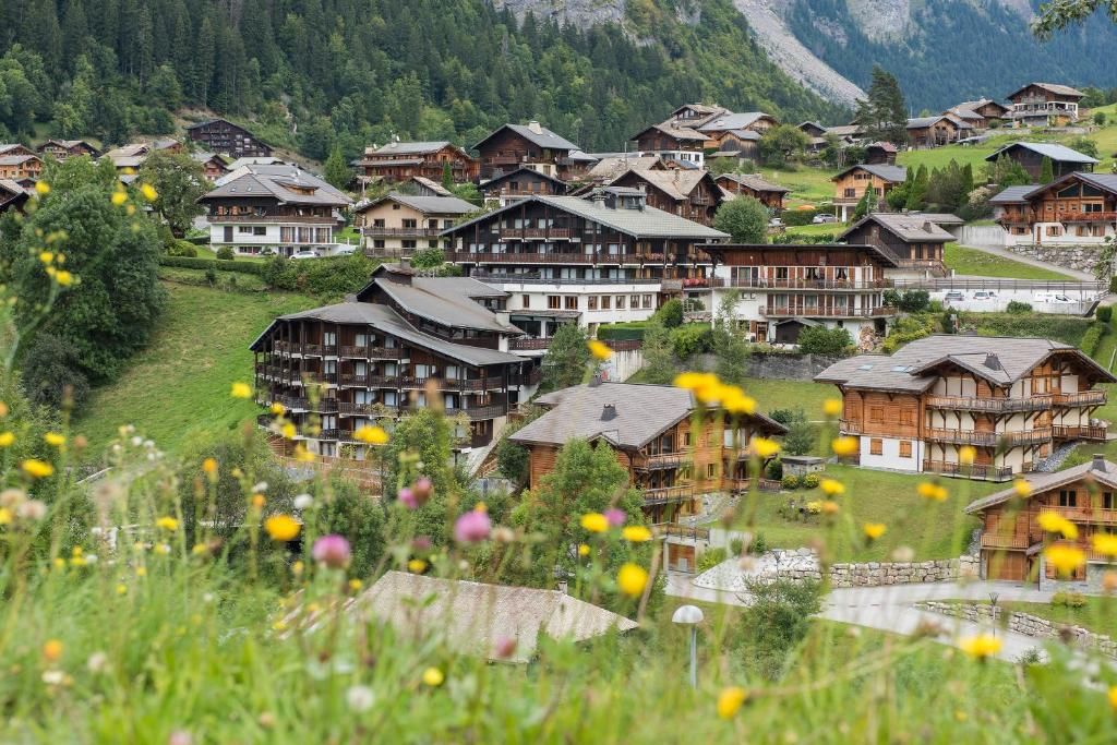 Hotel Le Petit Dru фото 22