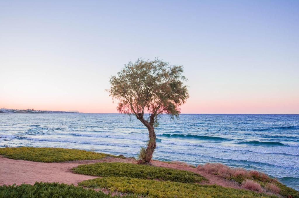 Ariadne Beach Hotel фото 4