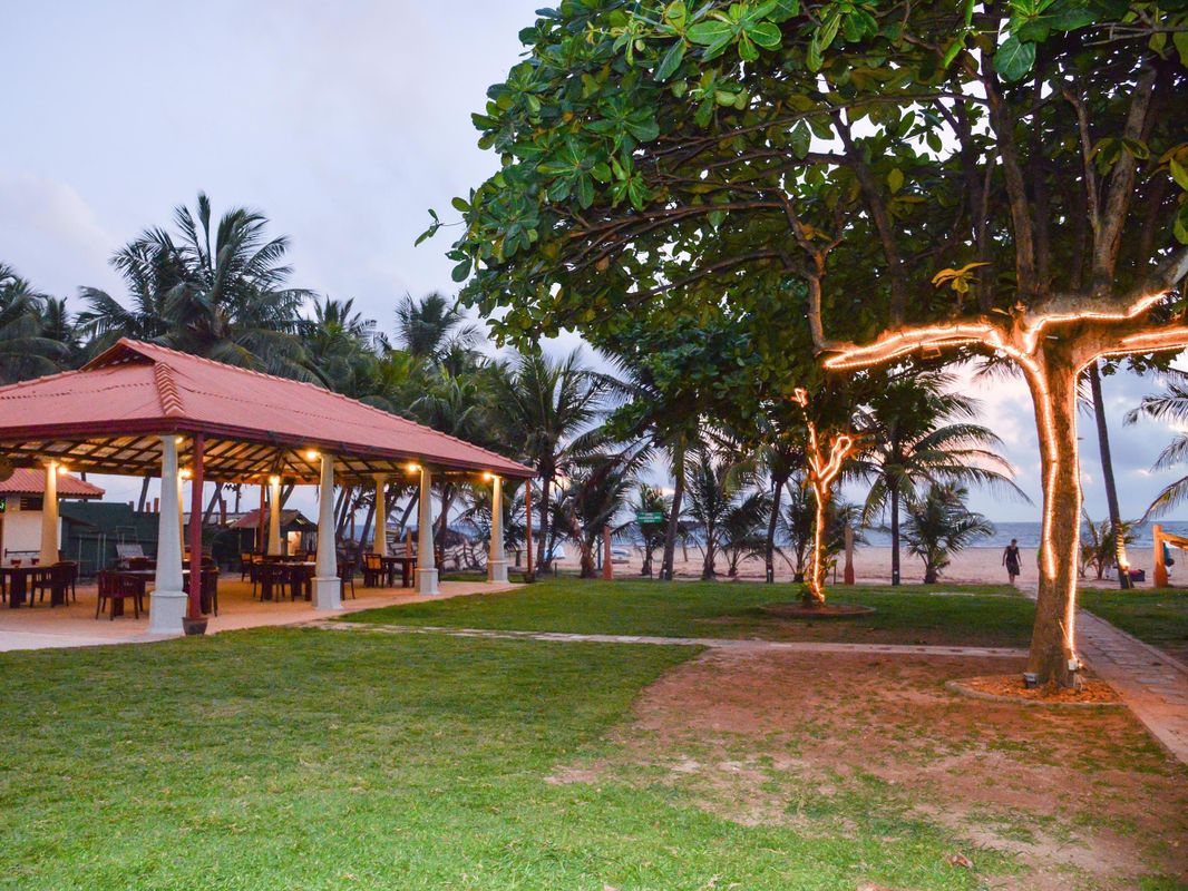 Paradise Beach Hotel фото 10