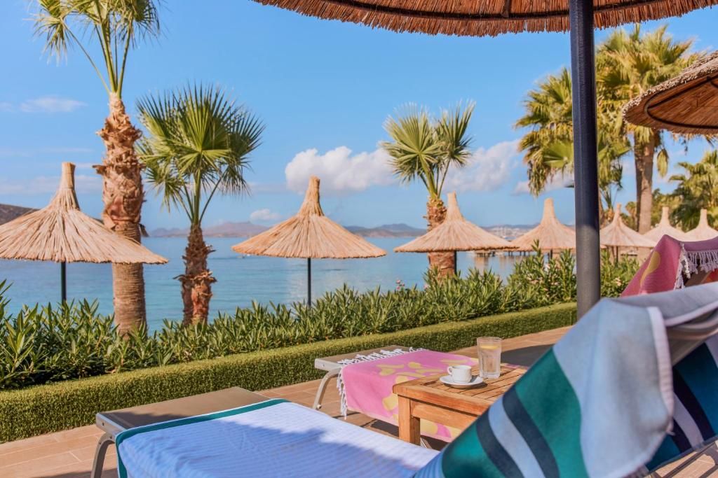 TUI Magic Life Bodrum (Adults Only) фото 49