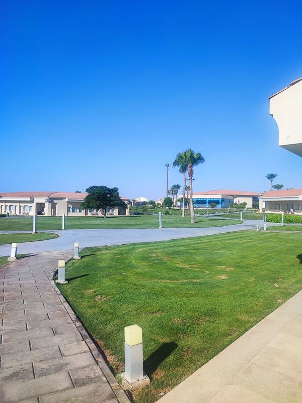 Pickalbatros Luxury Suites фото 111