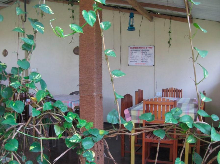 Guest House «Sea Breeze Guest House» фото 8