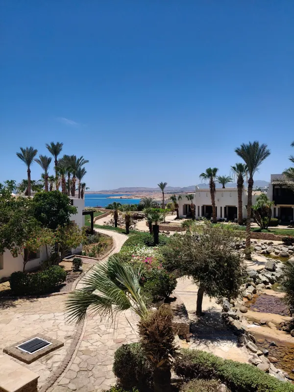 Sharm Plaza Hotel фото 69