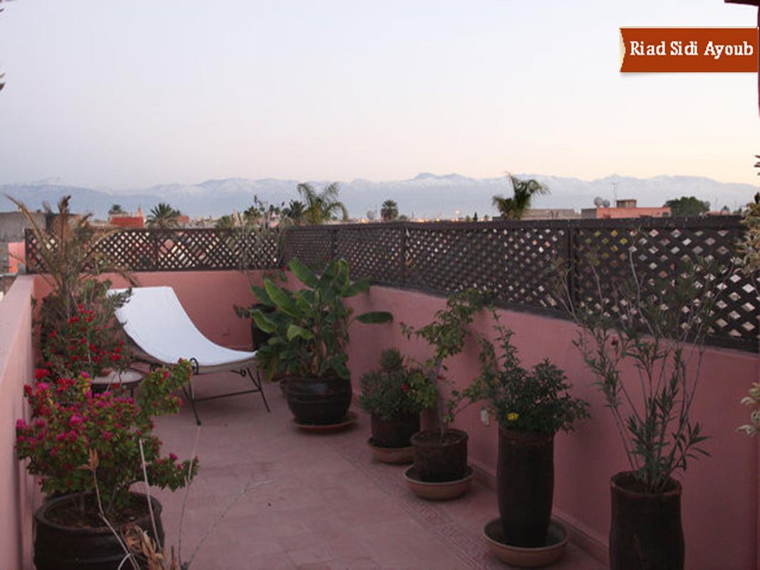 Riad Sidi Ayoub фото 8