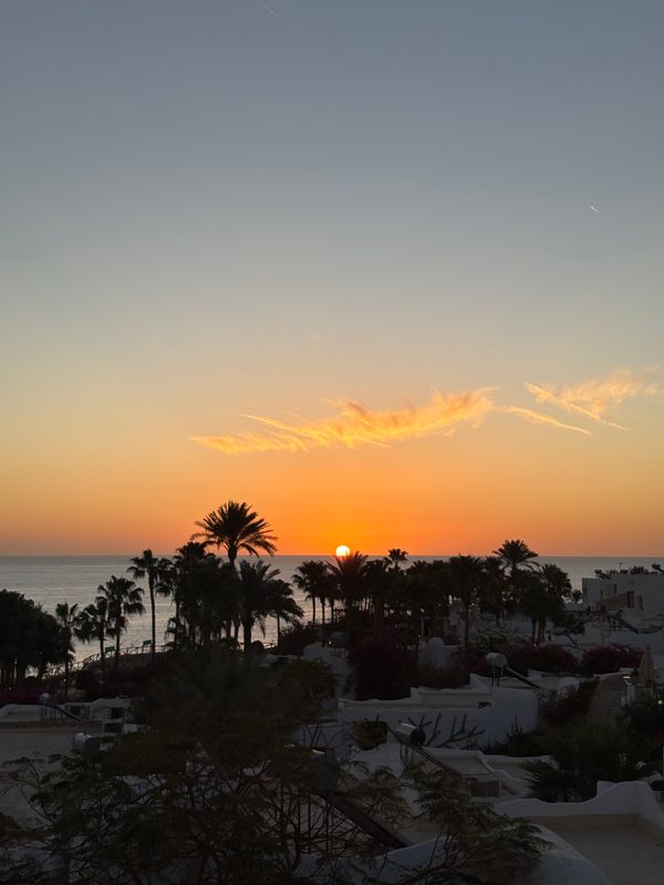 Sharm Club Beach Resort фото 98