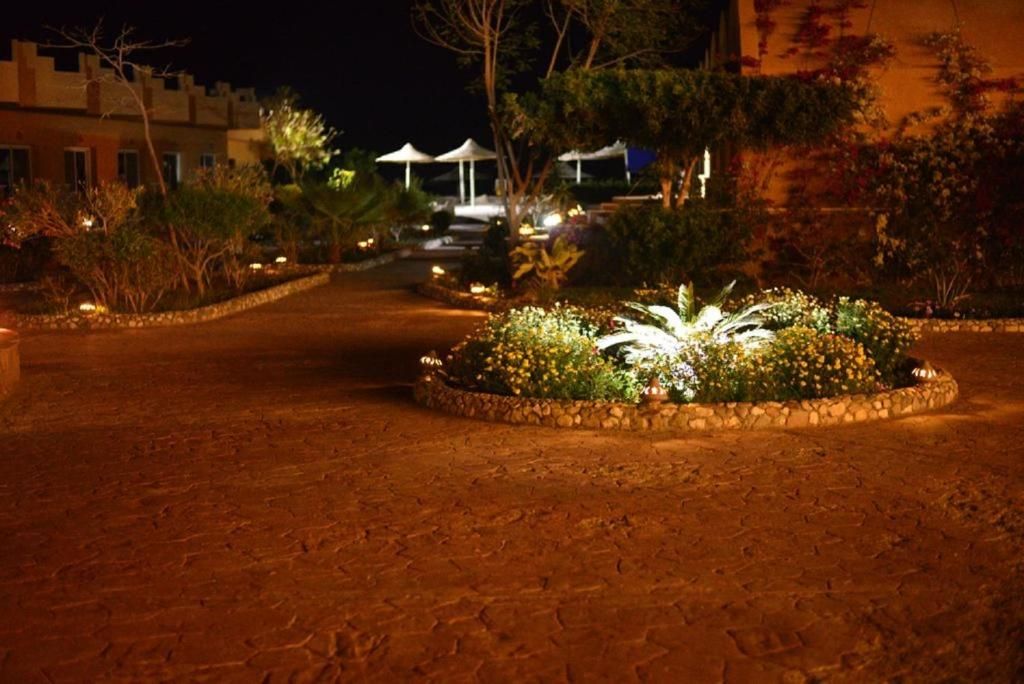 Silver Beach Redsea Resort фото 47