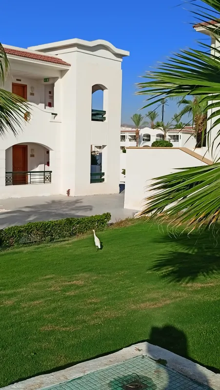 Jaz Sharm Dreams фото 112