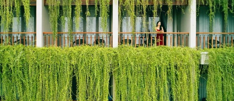Фото отеля Silk Sense Hoi An River Resort