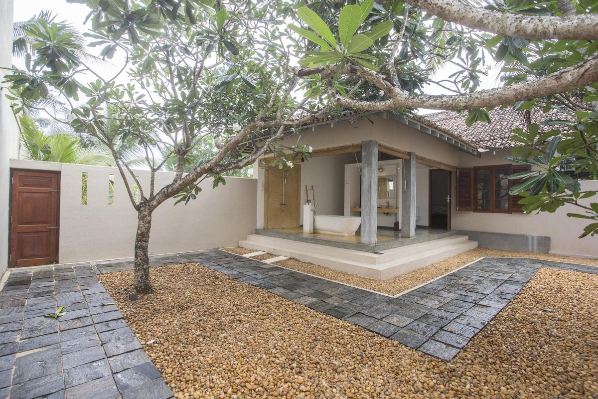 The Frangipani Tree by Edwards Collection фото 14