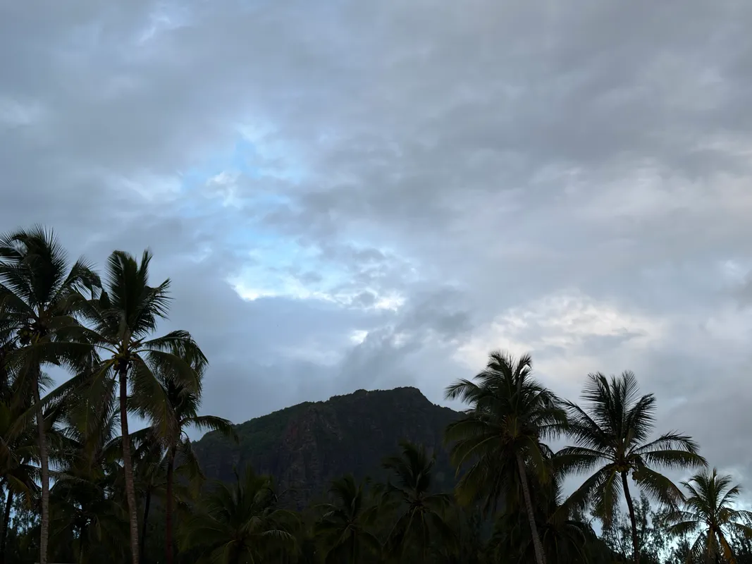 Hotel Riu Palace Mauritius (Adults Only) фото 20