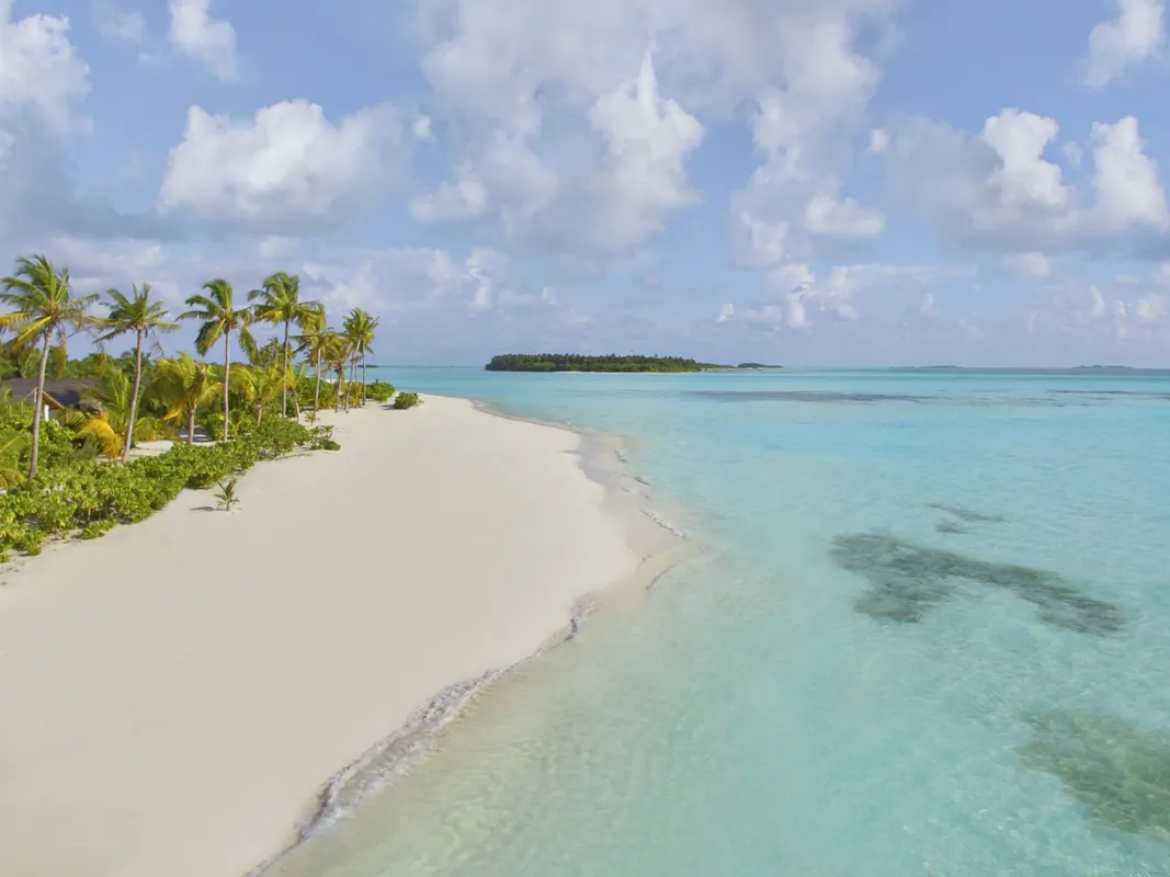 Nala Maldives by Jawakara (Adults Only) фото 11
