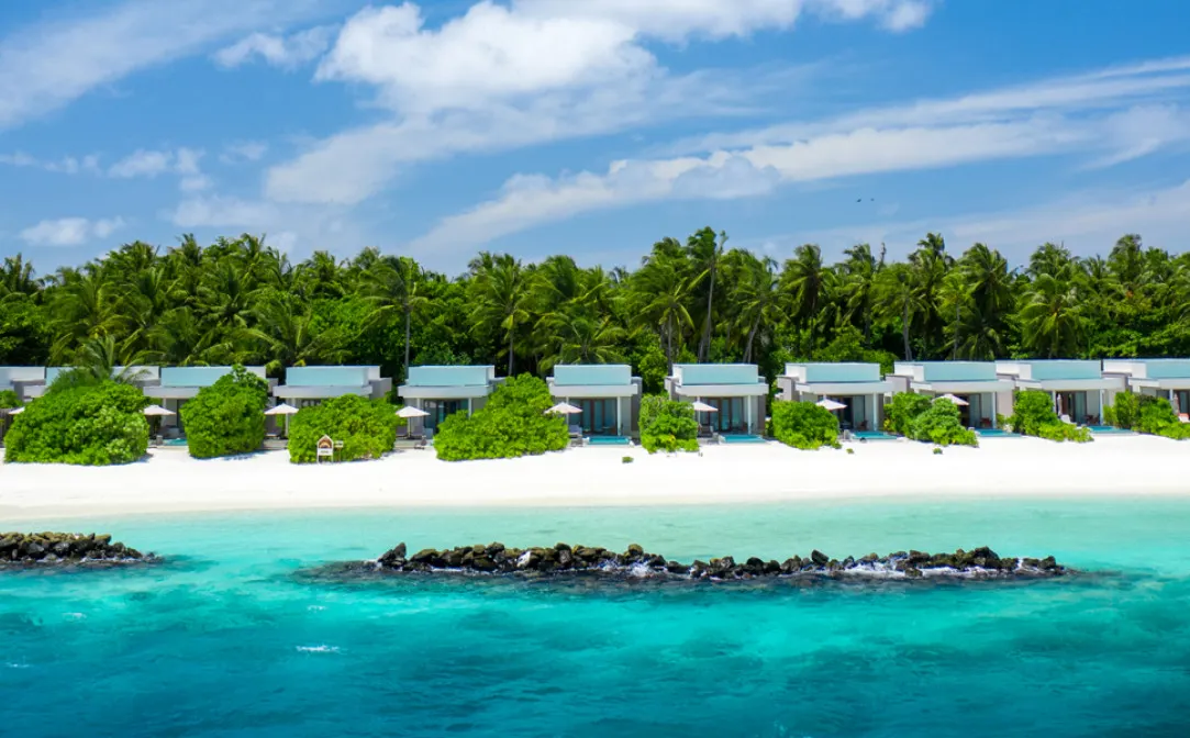 Niva Dhigali Maldives фото 35