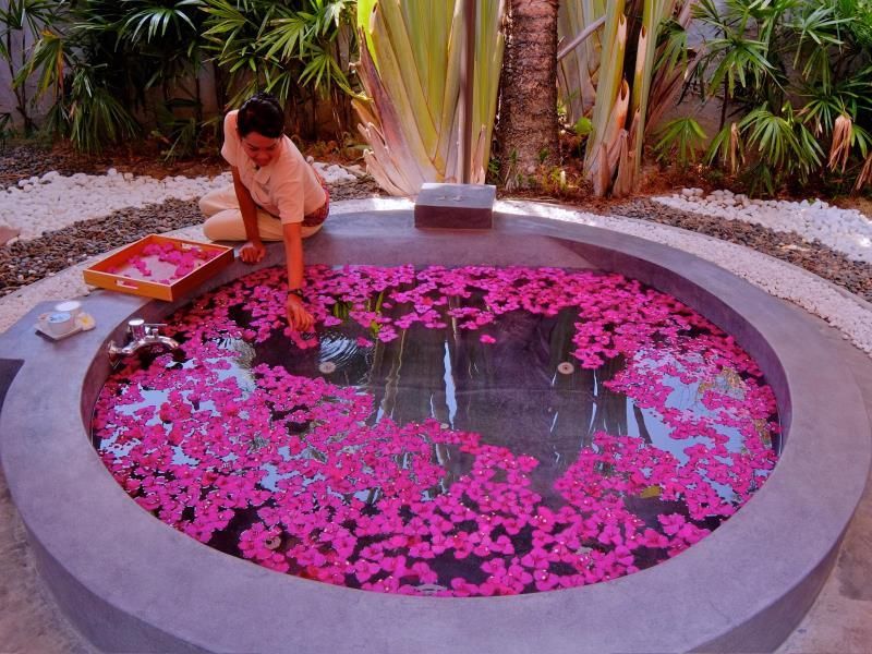 Twin Lotus Resort and Spa - Adult only - SHA Plus фото 19