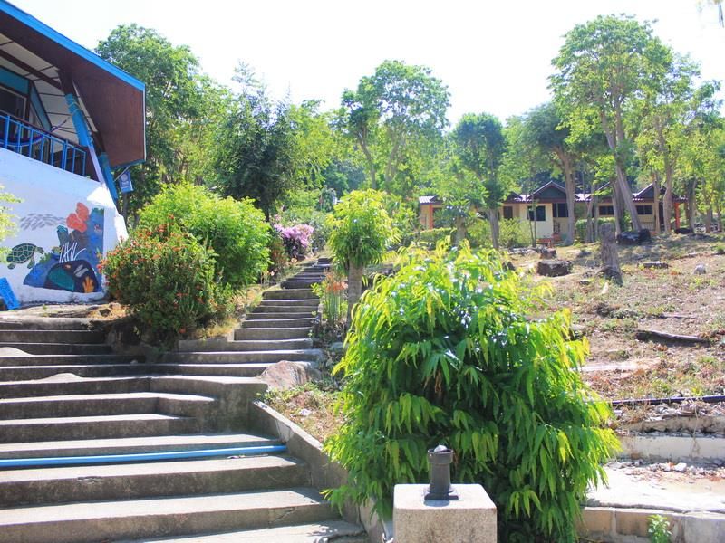 PP Ingphu Viewpoint фото 14