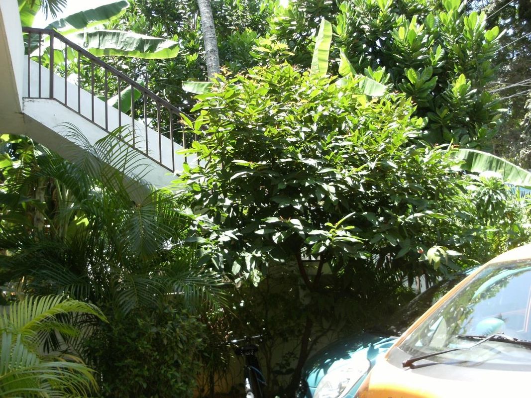 Hotel Bay Watch фото 16