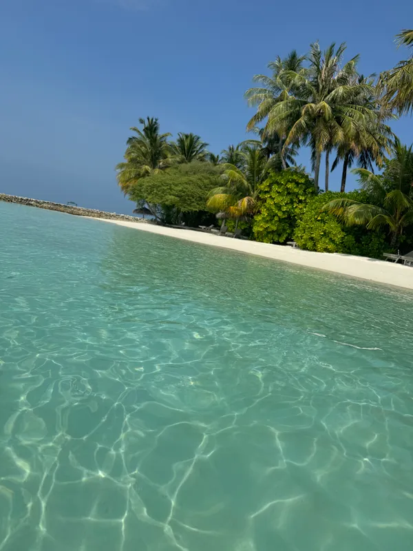 Niva Kurumba Maldives фото 65
